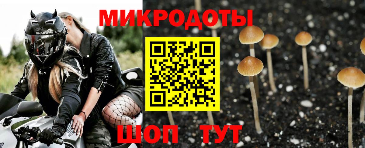 Бахчисарай  Галлюциногенные грибы MAGIC MUSHROOMS  Вход с VPN 