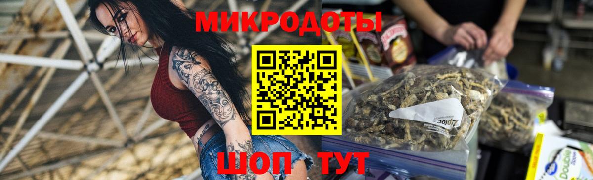 Псилоцибиновые грибы Psilocybe Бахчисарай